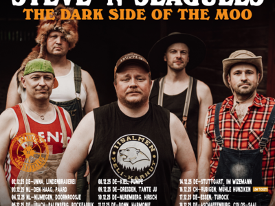 Image: STEVE´N´SEAGULLS